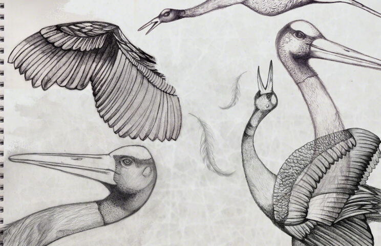 Paper Cranes, original pencil and paper drawings