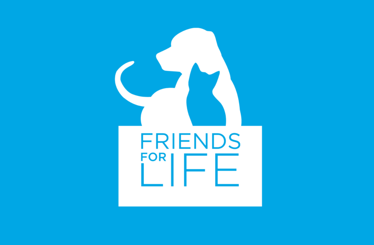 friends4life.org, 2012 redesign. Designed by Halina Dodd. Developed by Dalya Kandil.