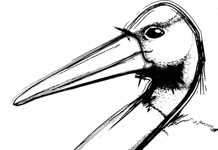 Digitally enhanced, pencil and paper drawing
